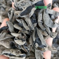 东北黑木耳 圆边碗耳 可供超市平台电商！质量嘎嘎好！包邮