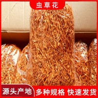 【产地货源】东北虫草花干货500g袋煲汤食材长条产地直供批发