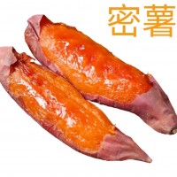 烟薯25 蜜薯 红薯 烤薯专用 批发零售 全国各地 可发货