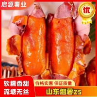 烟薯25  蜜薯 红薯 烤薯专用批发零售 软糯无丝 全国发货
